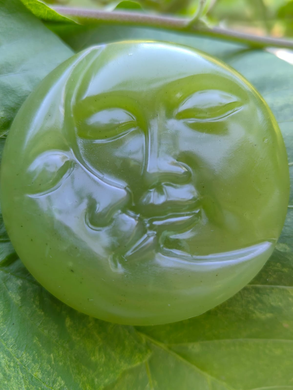 Jabón de Espirulina