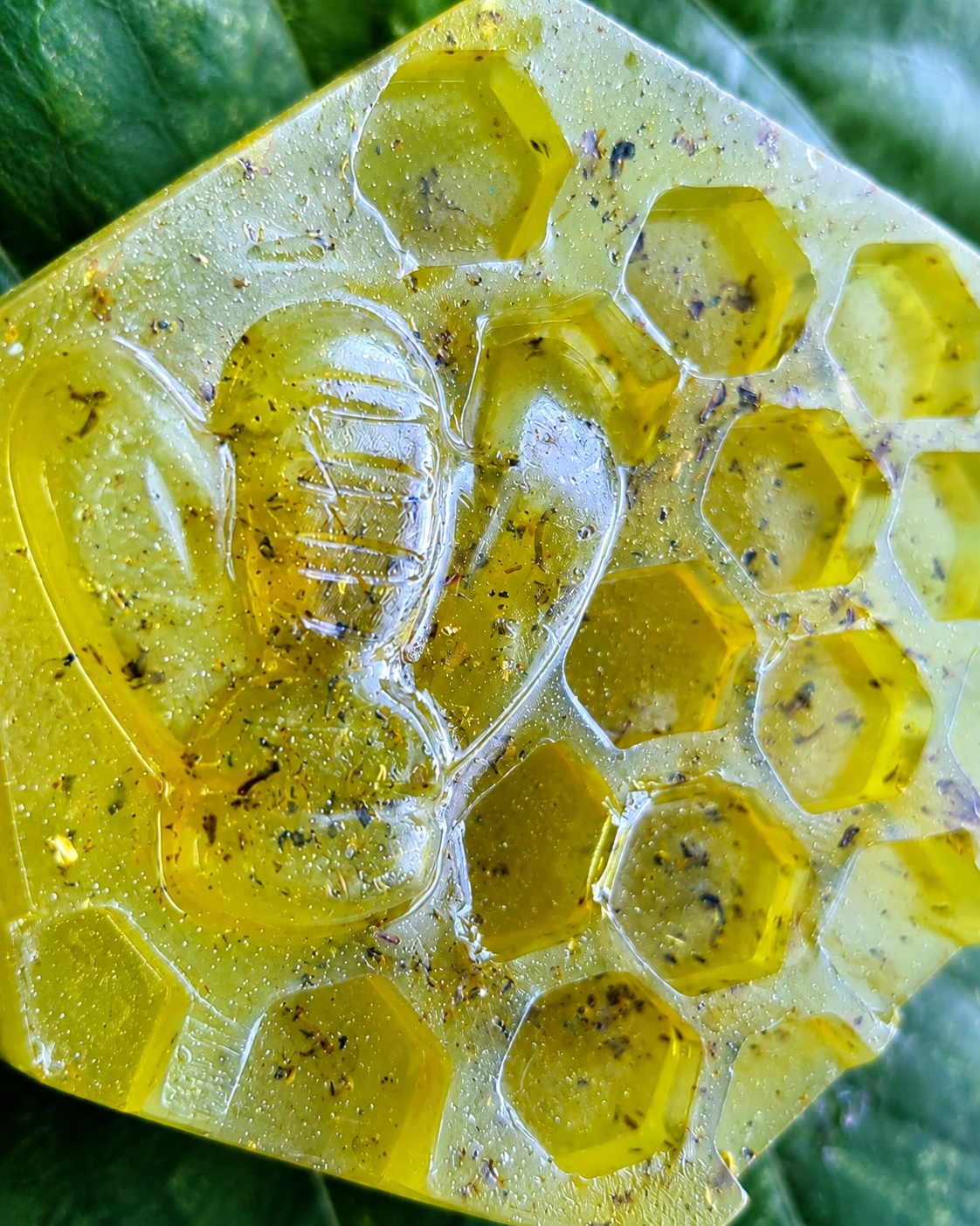 Jabón artesanal Verde Vivo sobre hojas verdes, cosmética botánica consciente