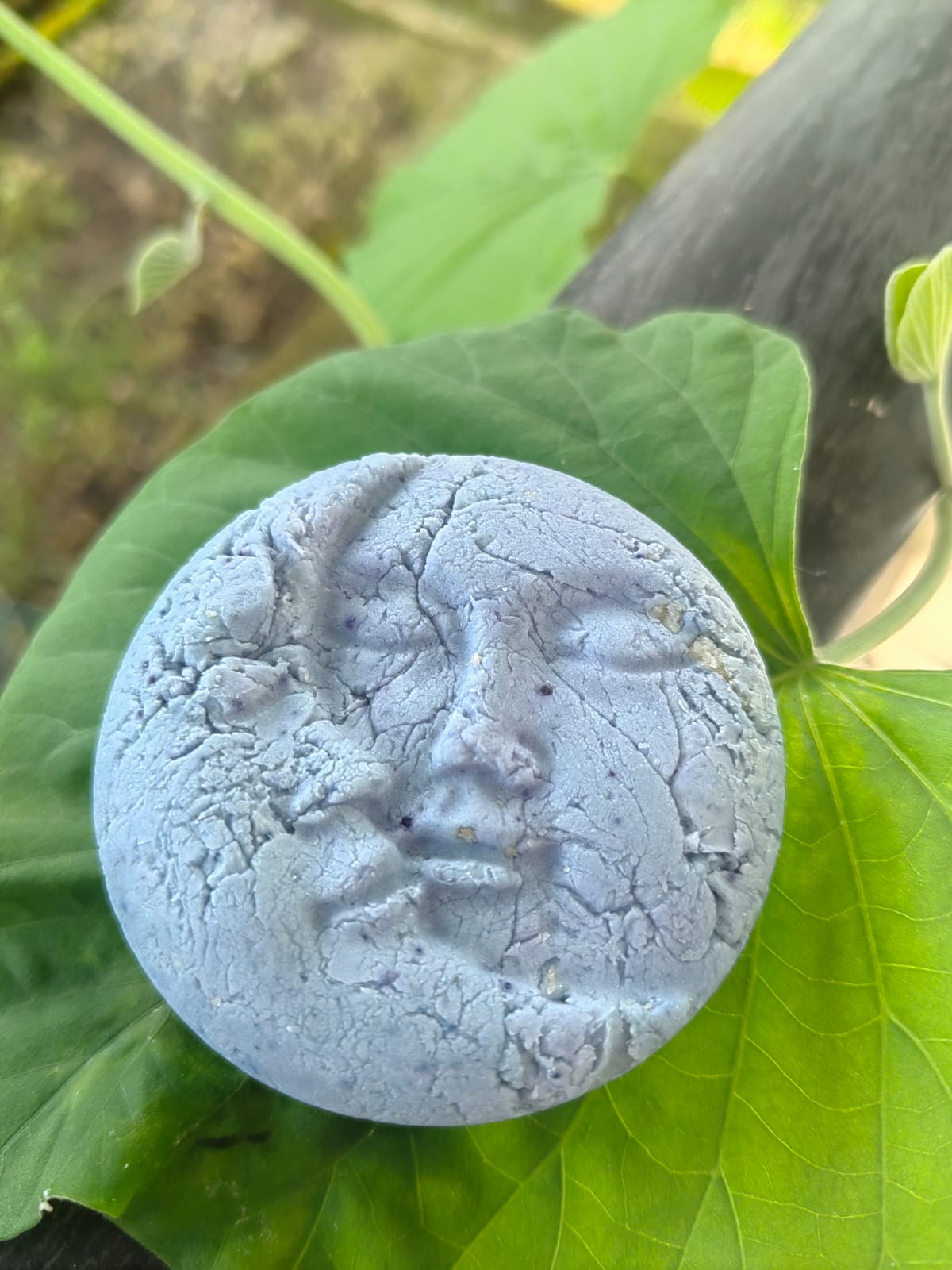 Shampoo Sólido Azul Místico